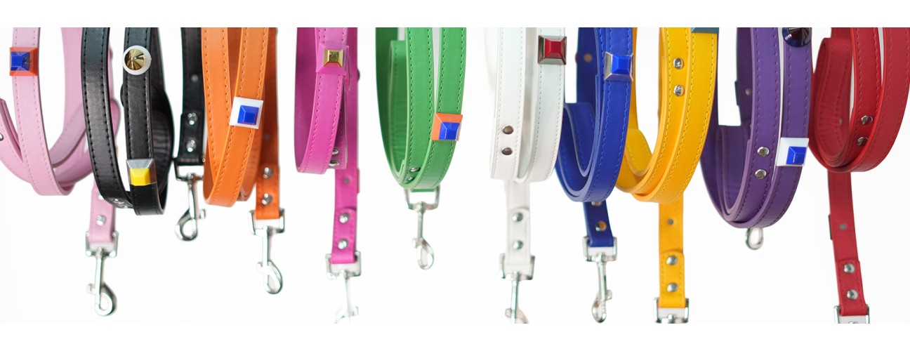 Leashes