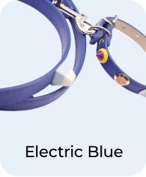 Electric Blue - Collar + Leash Bundle
