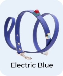 Electric Blue - Leash