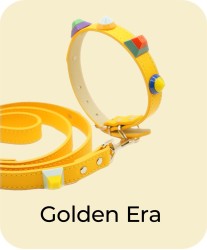 Golden Era - Collar + Leash Bundle