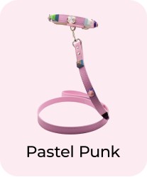 Pastel Punk - Collar + Leash Bundle
