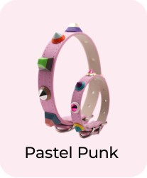 Pastel Punk - Collar