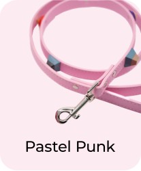 Pastel Punk - Leash