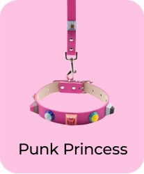 Punk Princess - Collar + Leash Bundle