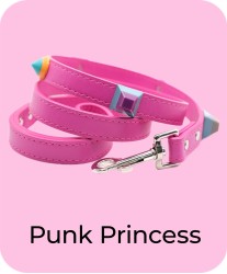 Punk Princess - Leash