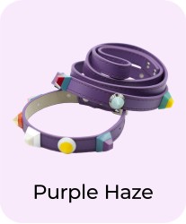 Purple Haze - Collar + Leash Bundle