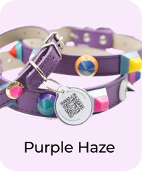 Purple Haze - Collar