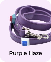 Purple Haze - Leash