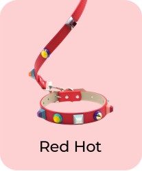 Red Hot - Collar + Leash Bundle