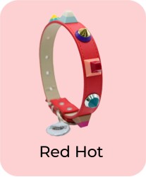 Red Hot - Collar