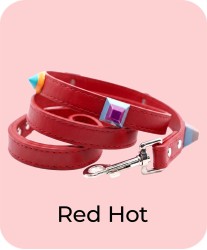Red Hot - Leash