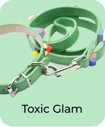 Toxic Glam - Collar + Leash Bundle
