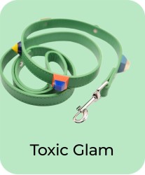 Toxic Glam - Leash