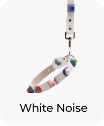 White Noise - Collar + Leash Bundle