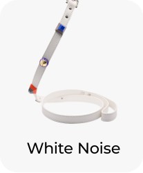 White Noise - Leash