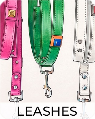 Leashes